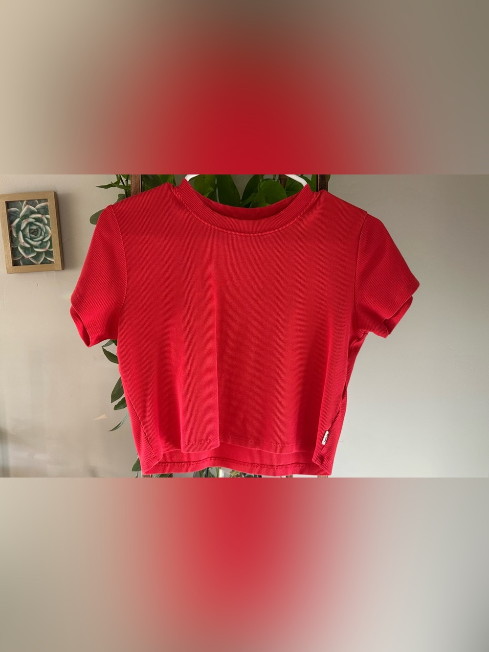 Rip-curl Women's Red Crop-top